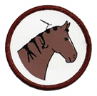 braiding_badge